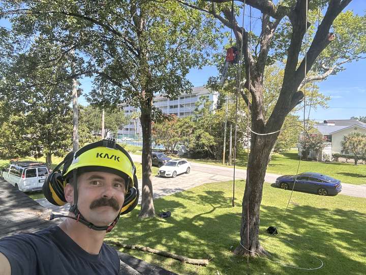 Corey in a helmet at a jobsite with a climber roped into the oak behind him in Myrtle Beach, SC