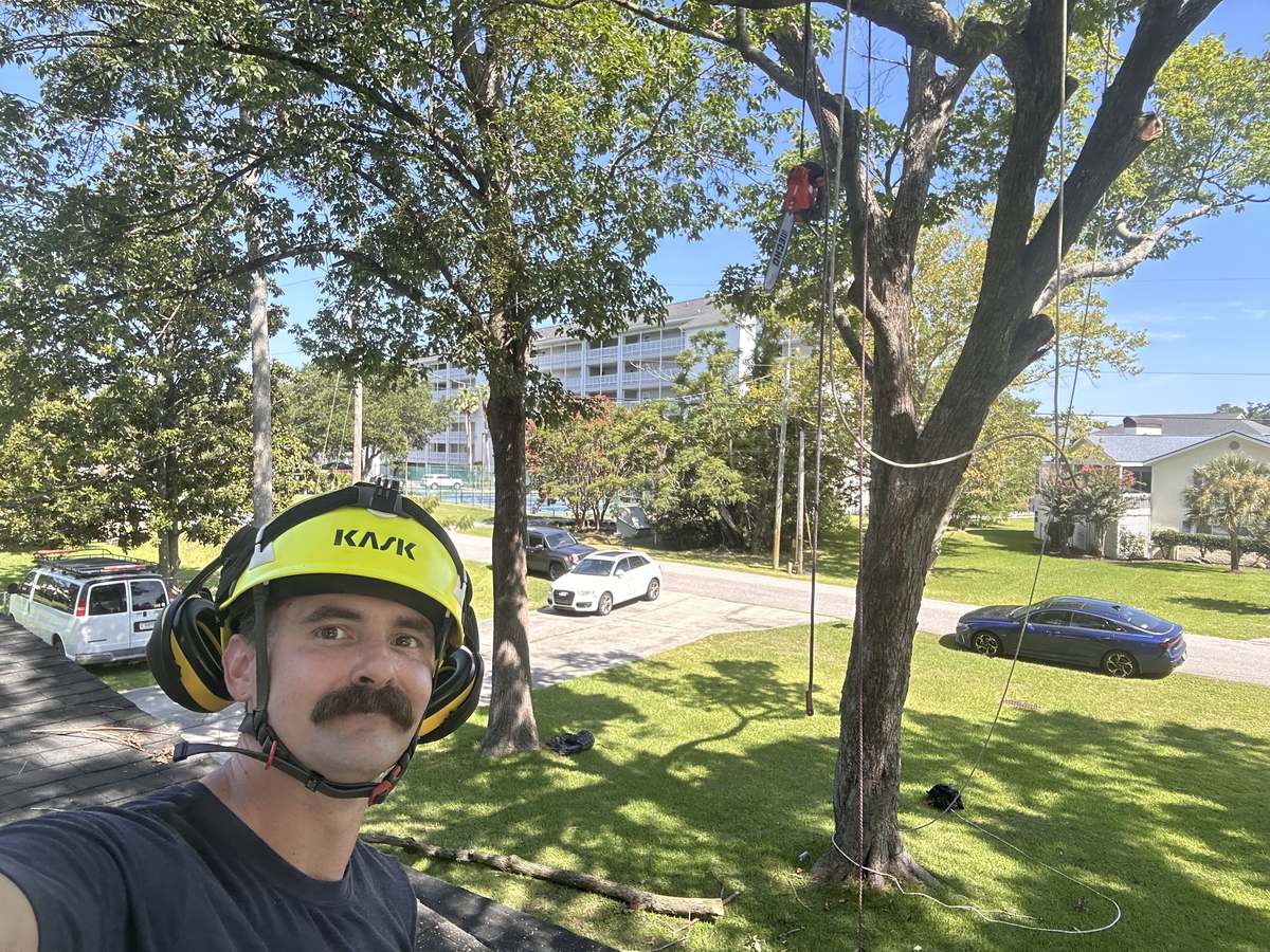 Corey in a helmet at a jobsite with a climber roped into the oak behind him in Myrtle Beach, SC