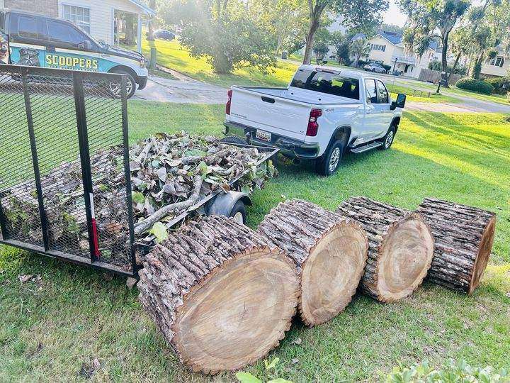 Trailer loaded with cut oak logs and brush behind a white pickup in a driveway