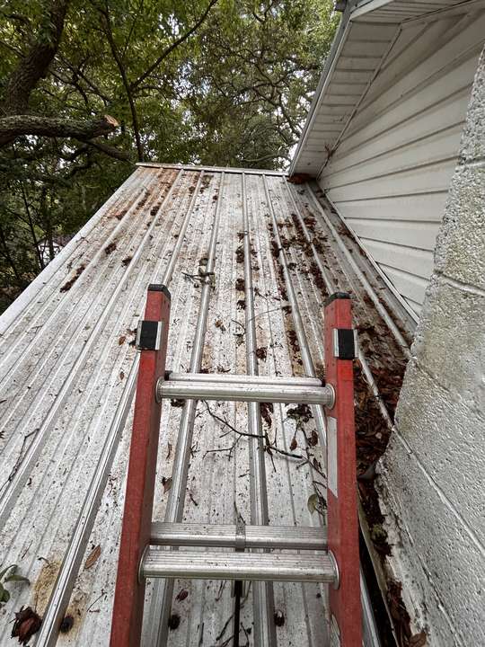 Ladder against a metal roof covered in leaf and limb debris from overhanging oaks in Myrtle Beach, SC