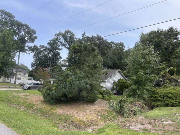 Cedar leaning hard toward a house after a storm, with the root plate partly lifted out of the ground in Myrtle Beach, SC
