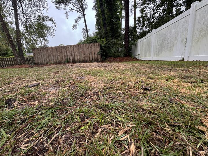 Pine stump grindings and chips raked out across a backyard lawn beside a wooden fence in Myrtle Beach, SC
