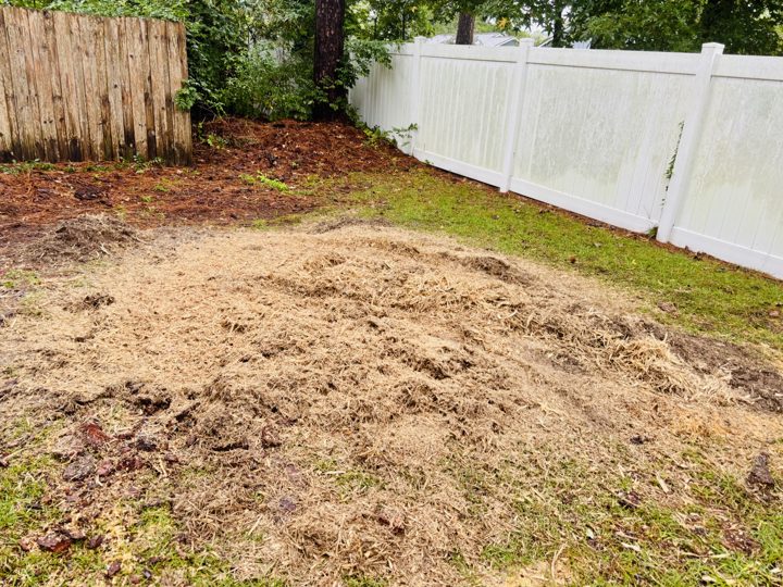 Fresh pale wood grindings mounded where a pine stump was ground out beside a white vinyl fence in a Myrtle Beach, SC backyard