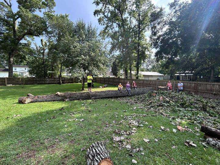 Large oak trunk felled and lying across a fenced backyard lawn with the crew cleaning up